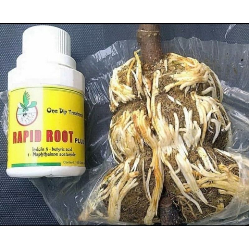 RAPID ROOT 100Gr ZPT Hormon Penumbuh Akar Stek Cangkok