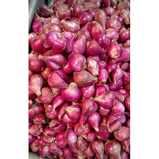 

Bawang Merah Brebes Super 500gr