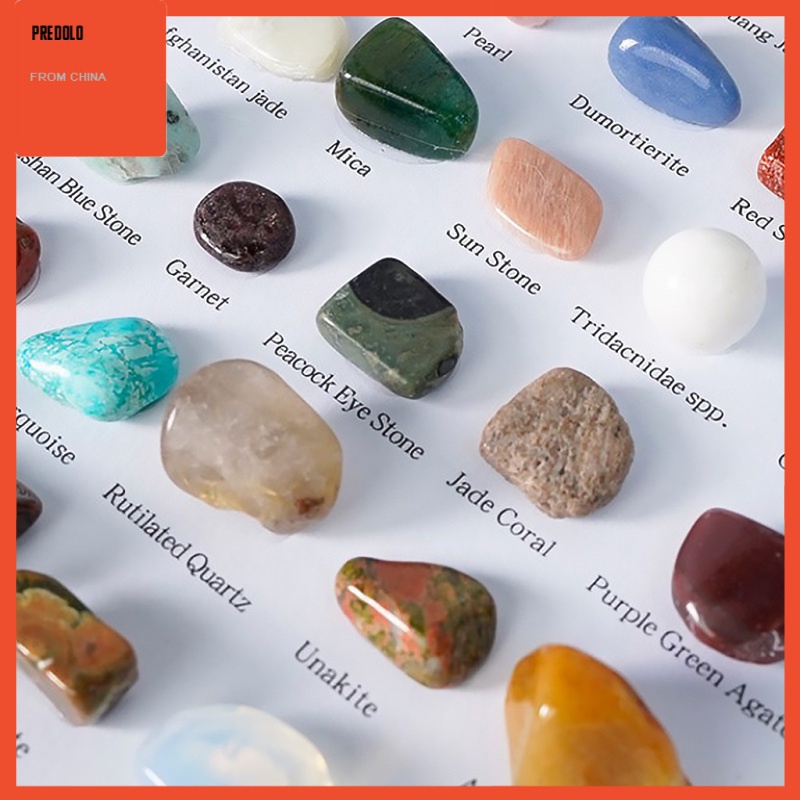 [In Stock] Rock and Gem Collection Geology Gem Kit Science Gift for Birthday Party Kids