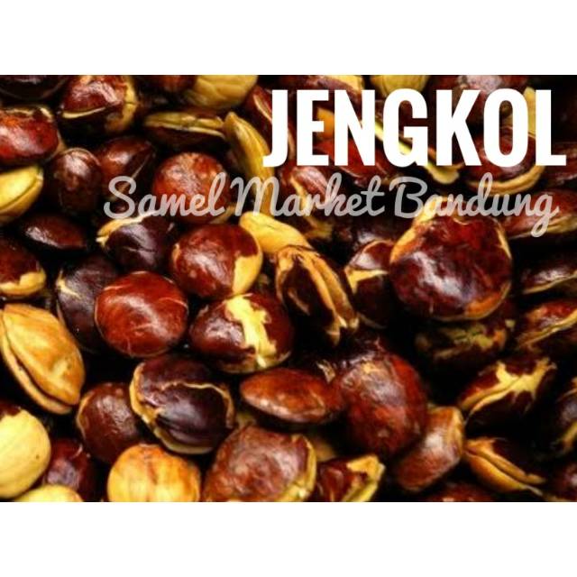 

Jengkol 500 gr