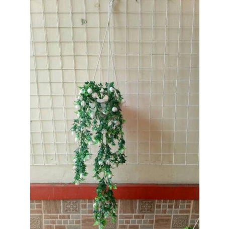 Bunga Priti +Pot Gantung Tali /Bunga Juntai Plastik /Bunga Gantung