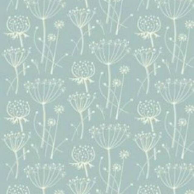 

Rol cat motif