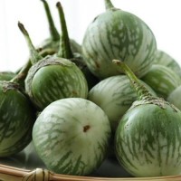 

Terong Lalap - 500 gr