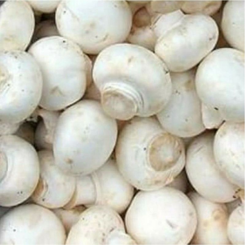 

jamur kancing segar/250 grm
