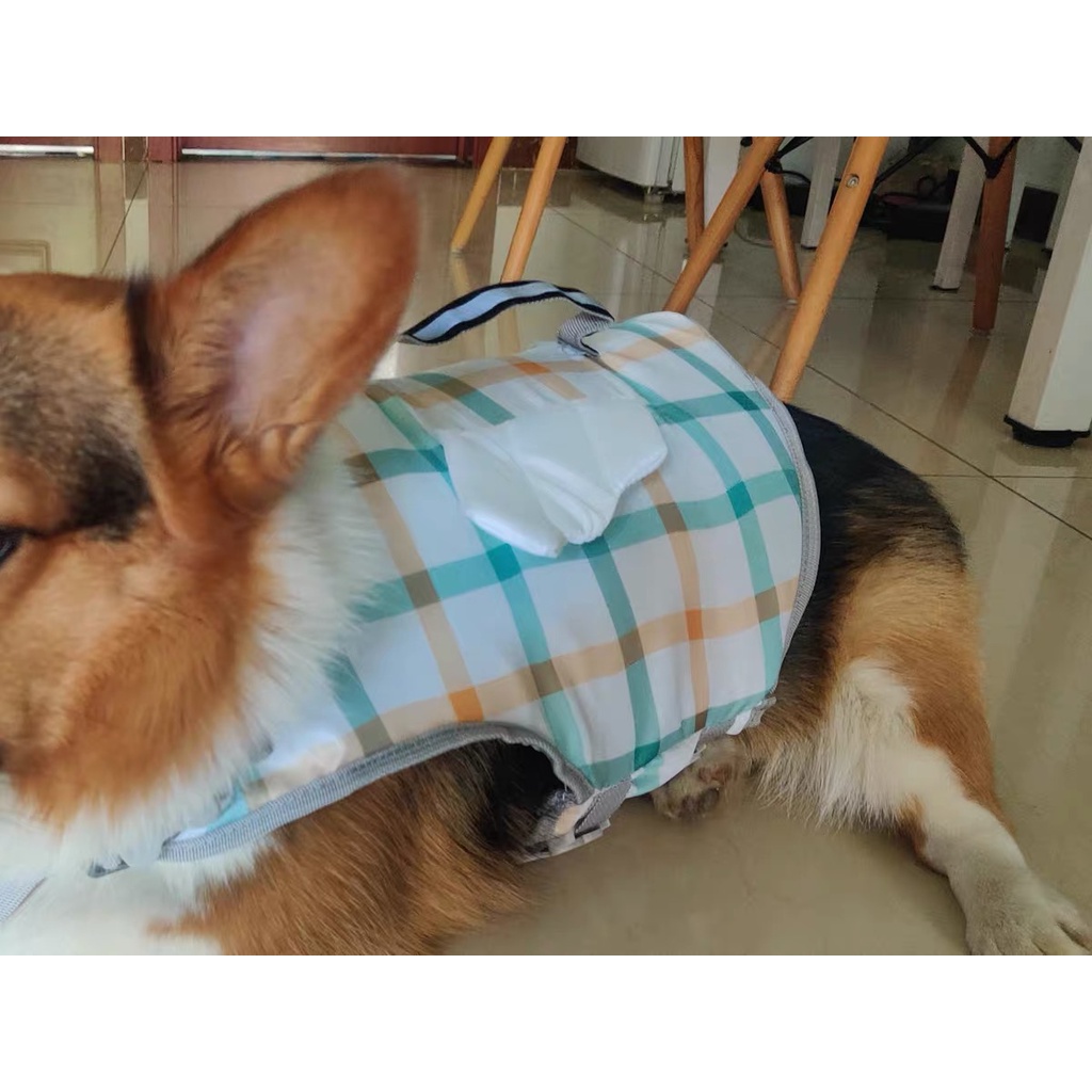 ROMPI pelampung renang anjing hewan kucing pet life vest jacket harness lucu S M L XL