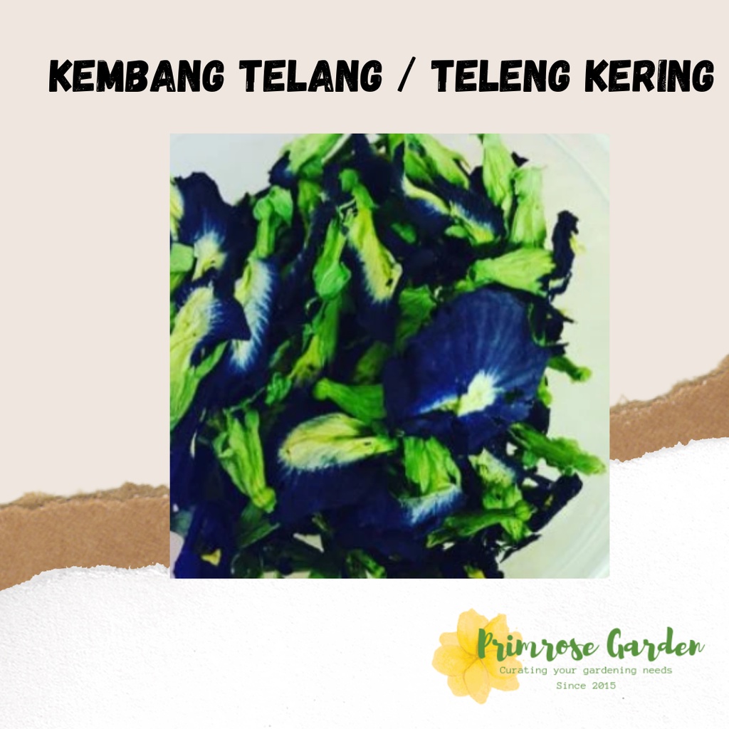 

Kembang teleng/ telang kering