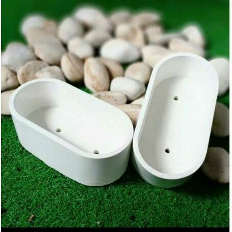 pot semen kaktus mini oval
