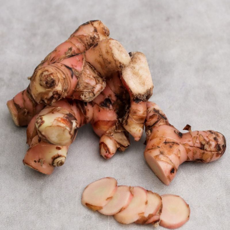 

Laos merah /Lengkuas 350 Gram | Hasil Lampung