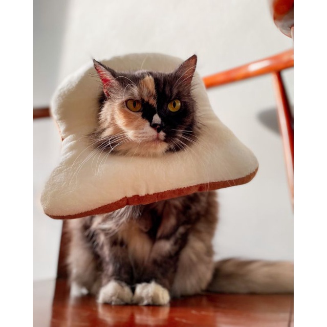 Toast Elizabeth Collar - corong kalung leher anjing kucing roti boneka lucu