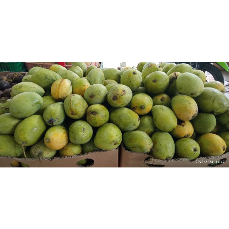 

MANGGA INDRAMAYU JOGJA 500 gr