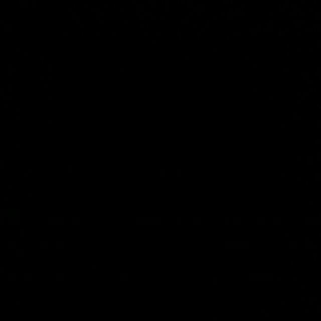 Bambu Hoki/sri Rejeki/bambu Keberuntungan