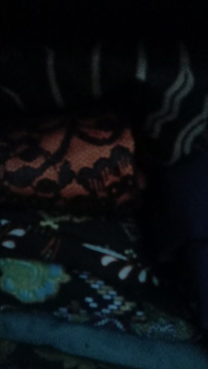 Size M L Xl Xxl Xxxl Bswart Batik Hrb026 Kenongo Hem Pendek Padi Pekalongan M L Xl