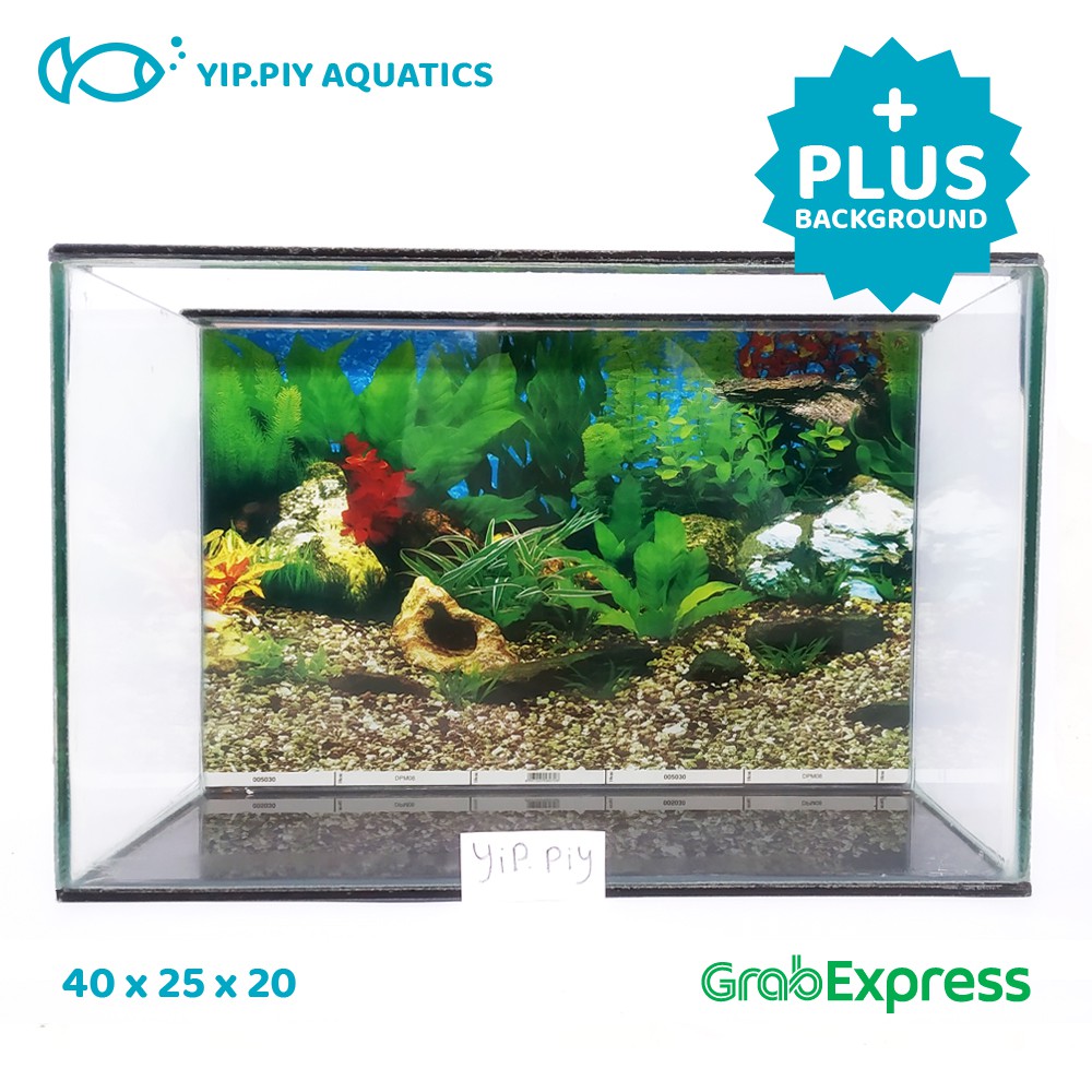 Aquarium 40 X 25 X 20 Kaca 5mm Background Akuarium Murah Shopee Indonesia Aquarium murah jakarta barat