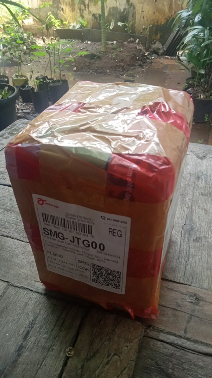 Mug Teko Listrik 11cm Pemanas Listrik 11cm Terlaris