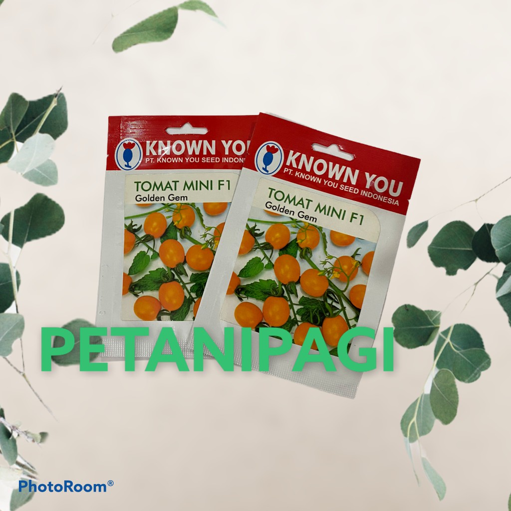 Benih/Bibit Tomat Cherry Mini Golden Gem (Known You Seed)