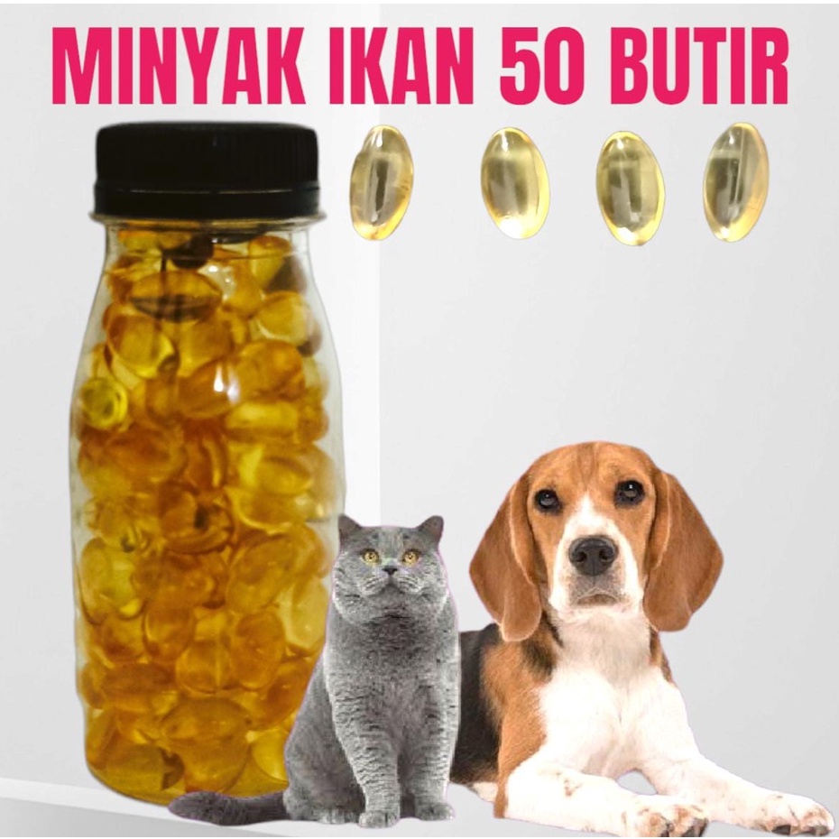 fish oil 100 butir MINYAK IKAN KUCING/ANJING/MUSANG/HAMSTER/KELINCI