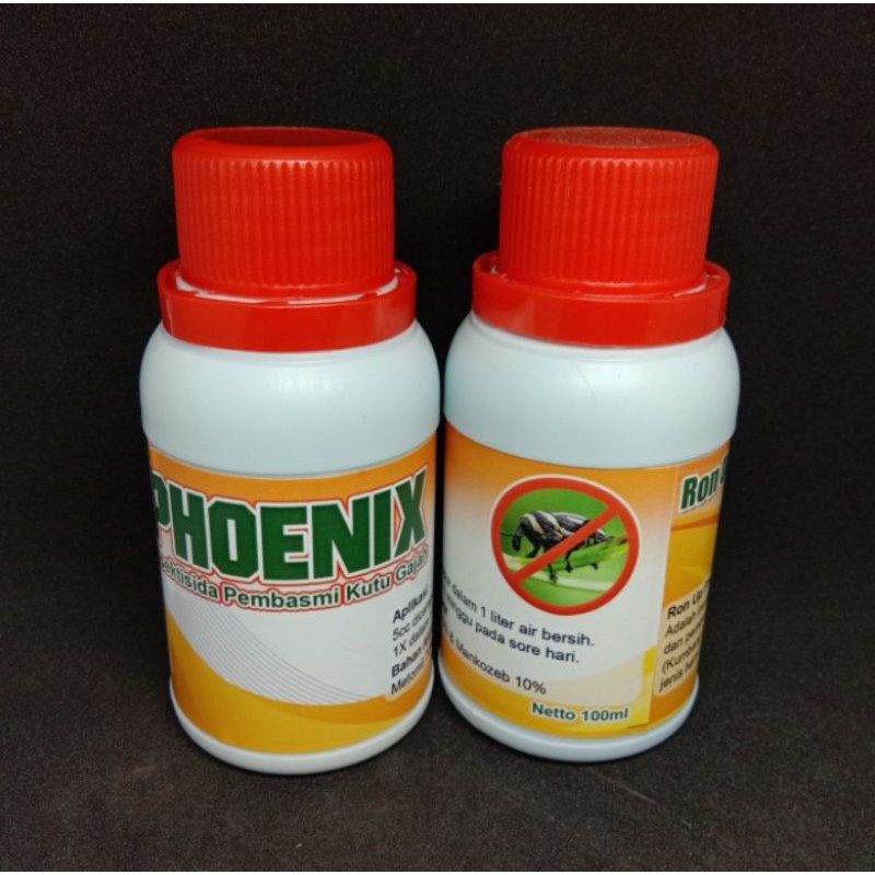 insektisida phoenix pembasmi kutu gajah tanam anggrek (Phoenix)