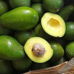 

Star Seller..!! ALPUKAT MENTEGA MINIMAL PEMBELIAN 2KG (PROMO) Termurah