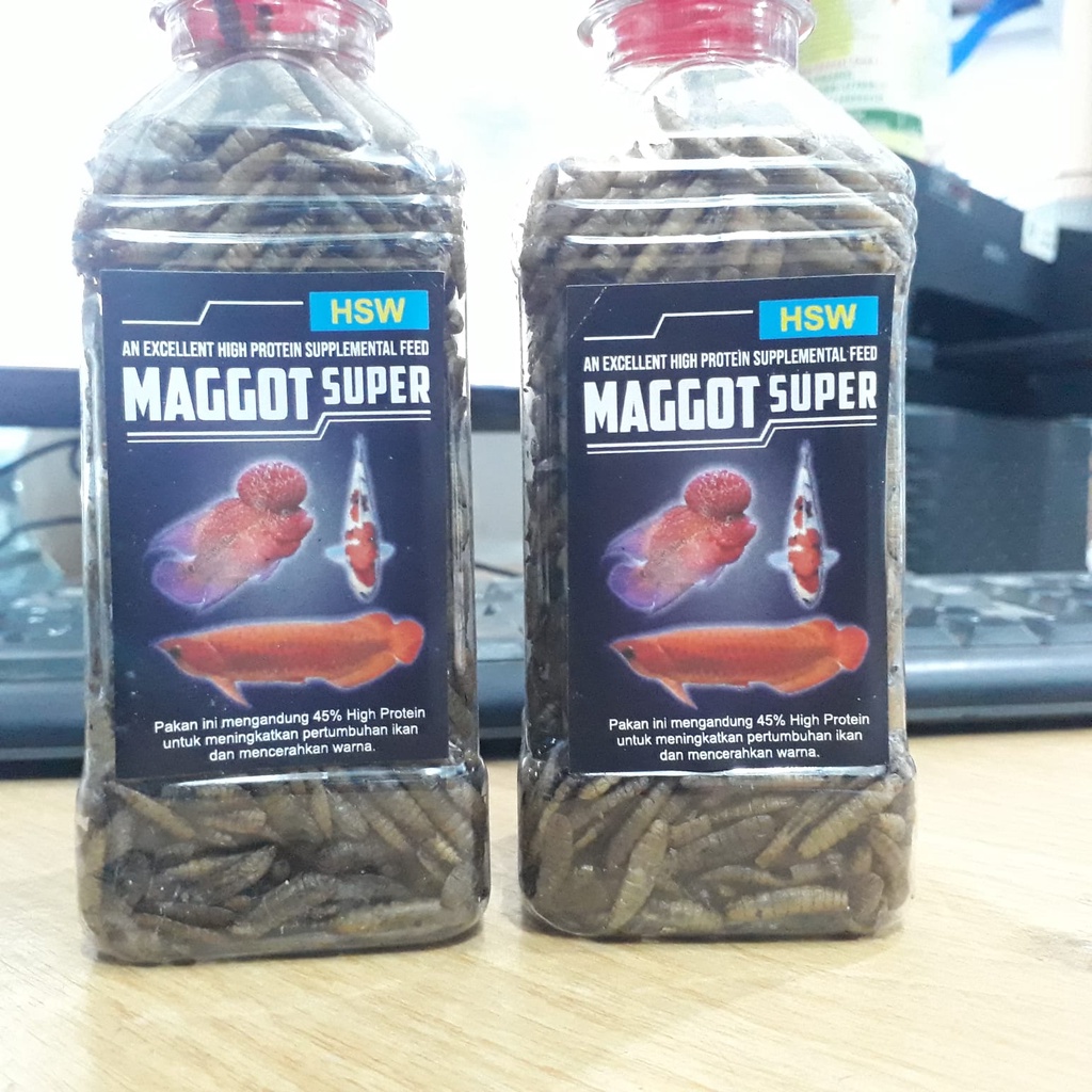 MAGGOT SUPER HSW 100gr, MAGOT PAKAN IKAN ARWANA / AROWANA , CHANNA , LOUHAN DAN POREDATOR LAINYA