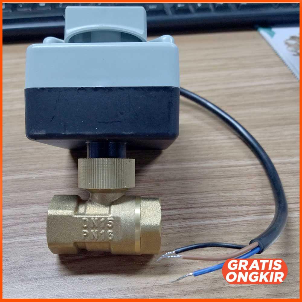 Brass Motorized Ball Valve Electric Actuator 2 Way DN15 BV2012-32