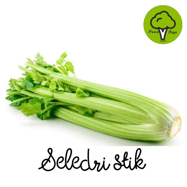 

SAYURAN / SELEDRI STIK / CELERY STICK TANPA DAUN [500GR]