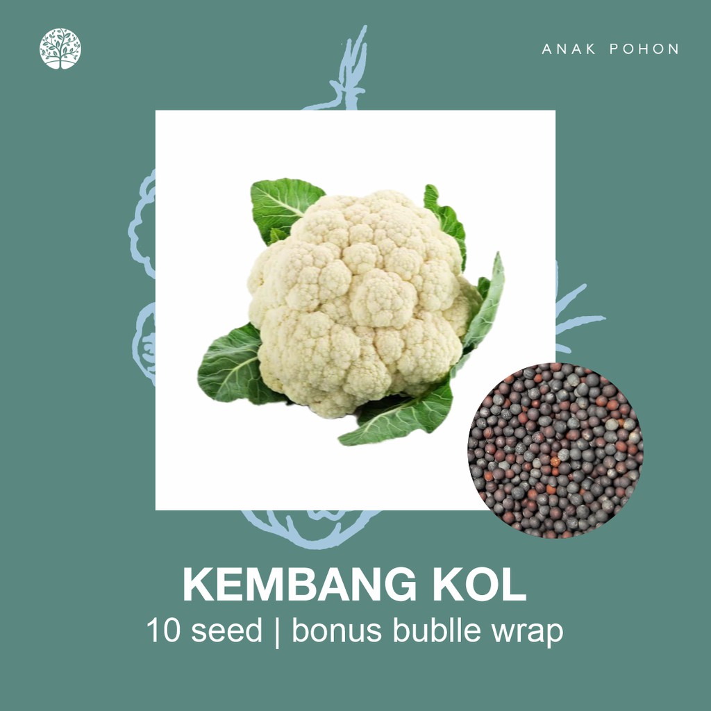 SERBA SERIBU - Benih Bibit Biji - Paket Benih Sayuran DAUN Termurah Kangkung Sawi Selada Seledri Kol-Kembang Kol