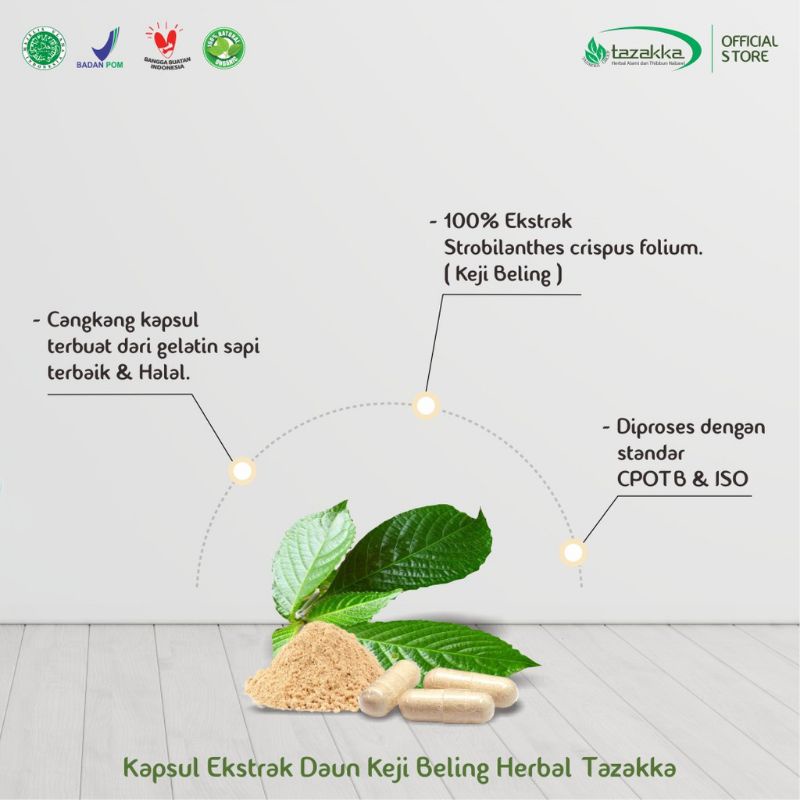 Kapsul Keji Beling Original 60 Kapsul Tazakka - Mengobati Batu Giinjal Batu Urin Empedu