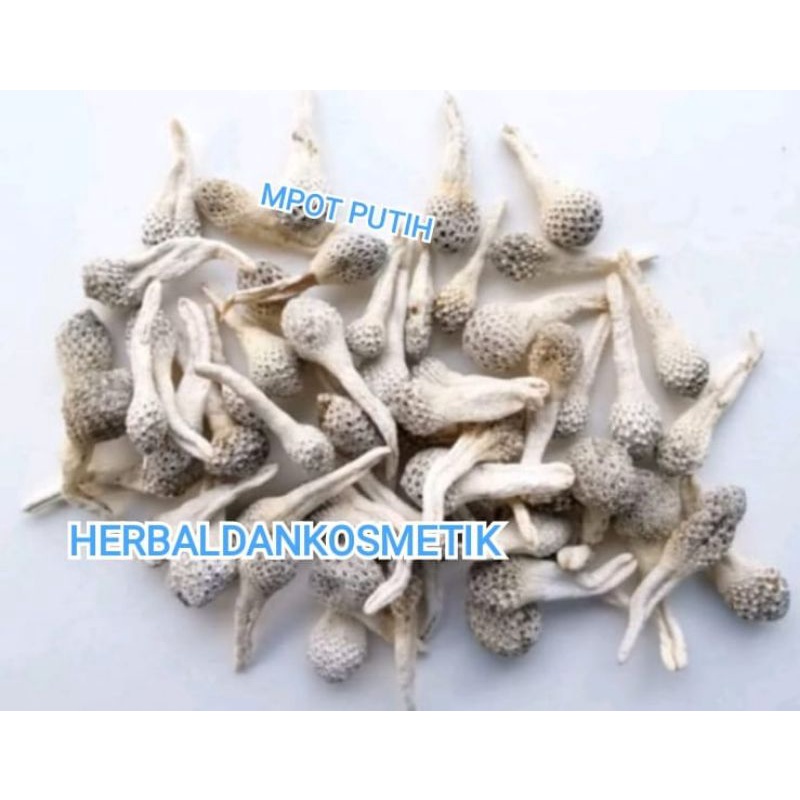 Empot ayam putih dan hitam Utuh 100%