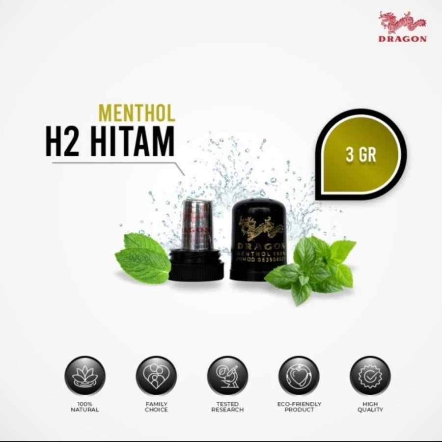 Obat Gosok Menthol Inhaler Mentol Cap Dragon H2