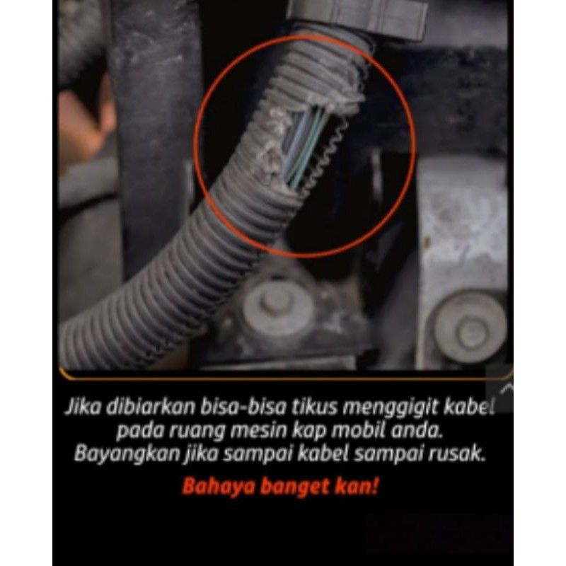 Rat anti tikus isi parfum anti tikus Super pengusir tikus mobil motor dapur dan ruangan