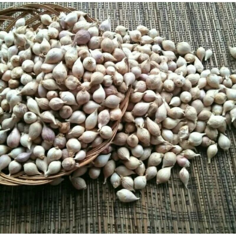 

1 KG BAWANG PUTIH TUNGGAL LOKAL/BAWANG LOKAL