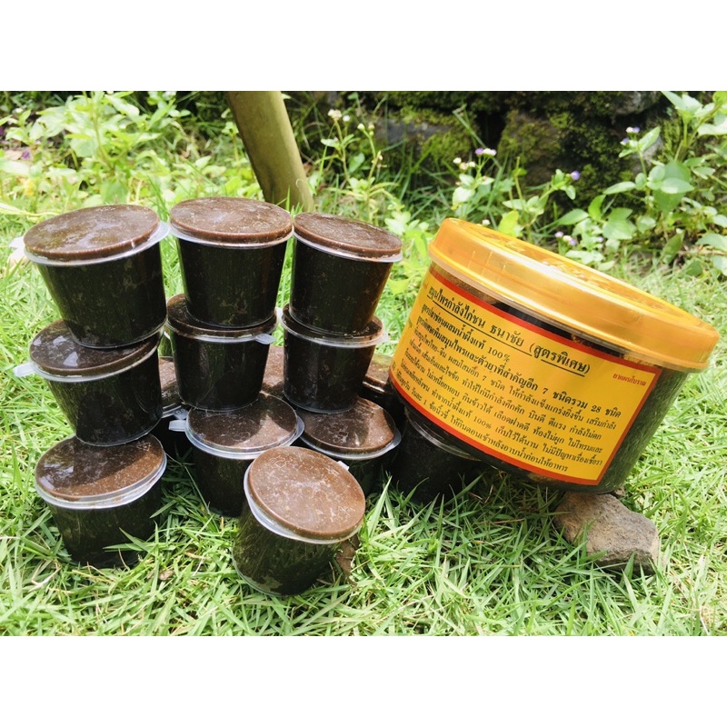 Kamlang Gold Thailand - Kamlang Thailand - Kamlang Basah - Kamlang Impor - Kamlang Ayam Memperkuat O