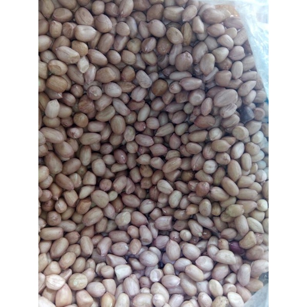 

1KG KACANG TANAH