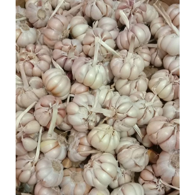 

Bawang putih sudah bersih 500gr dan1kg