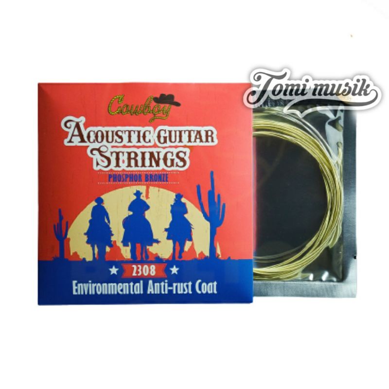 SENAR GITAR ORIGINAL AKUSTIK COWBOY STRINGS 010