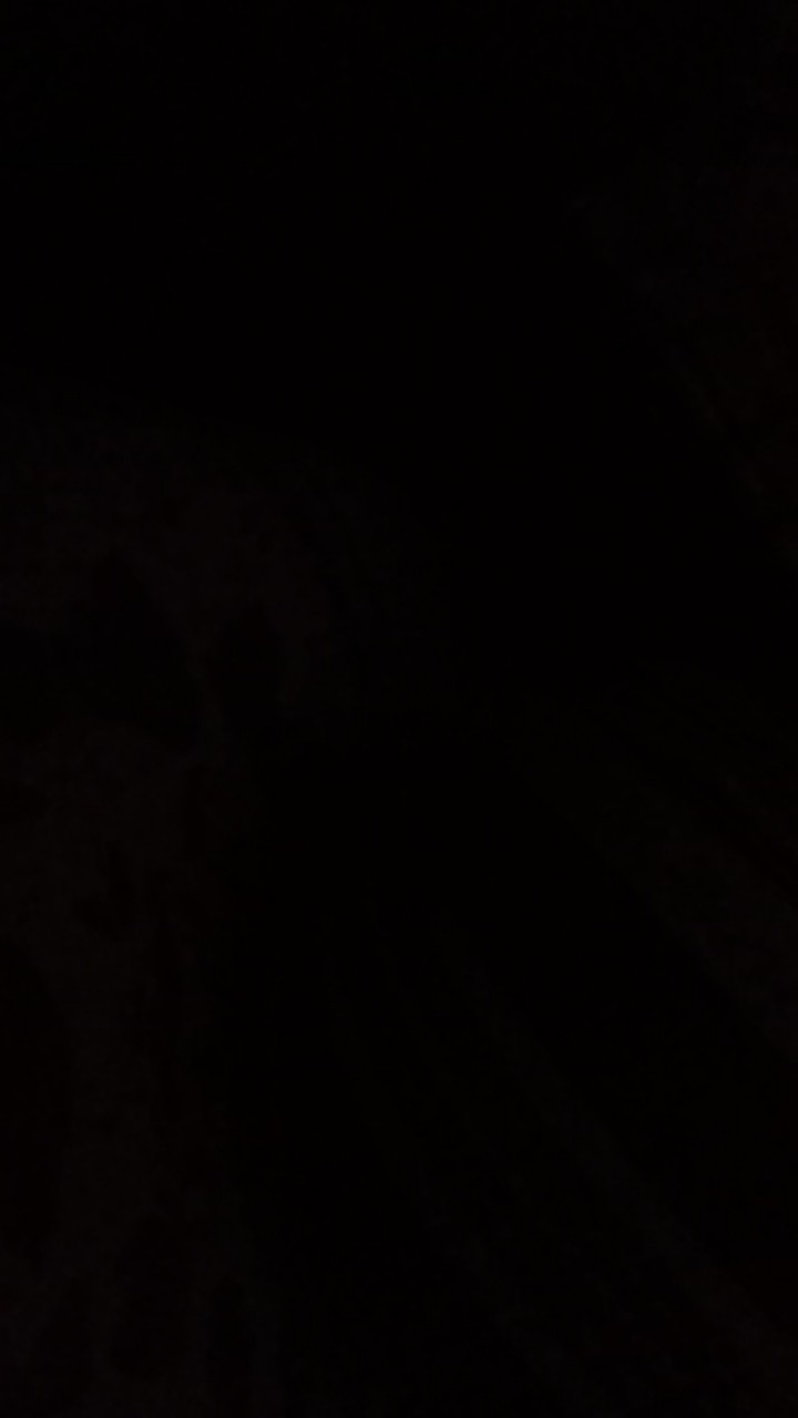 Tetelo Plus 10 Caps Obat Anti Tetelo Dan Ndv Ayam Syaraf Saraf Kepala Berputar Ngorok