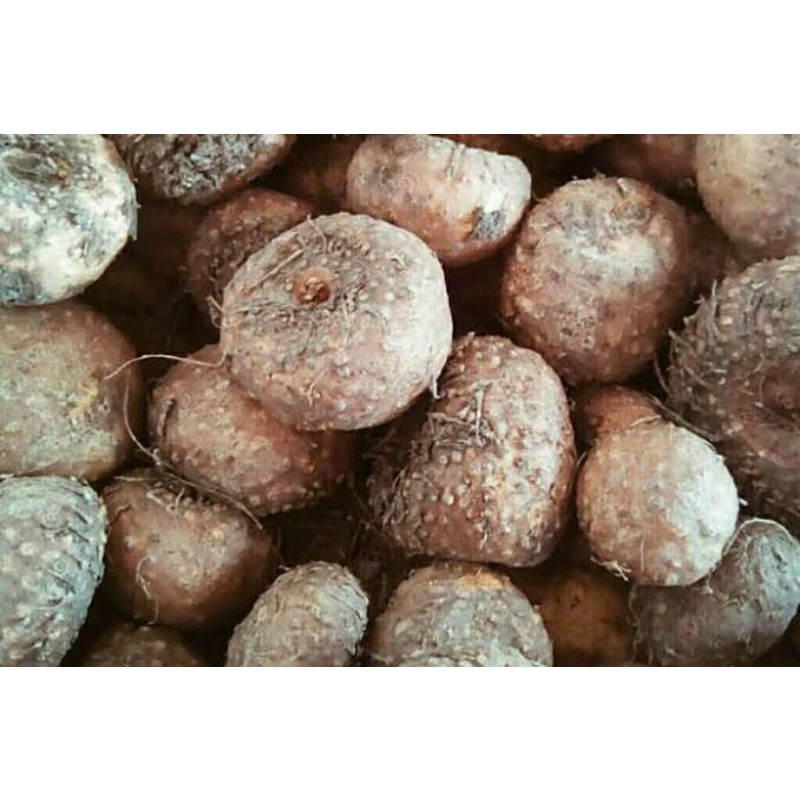 porang umbi suweg kering 50 gram