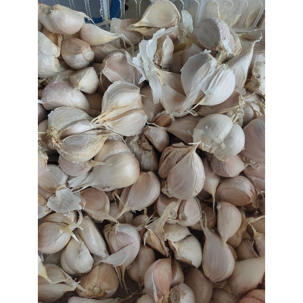 

BAWANG PUTIH KATING