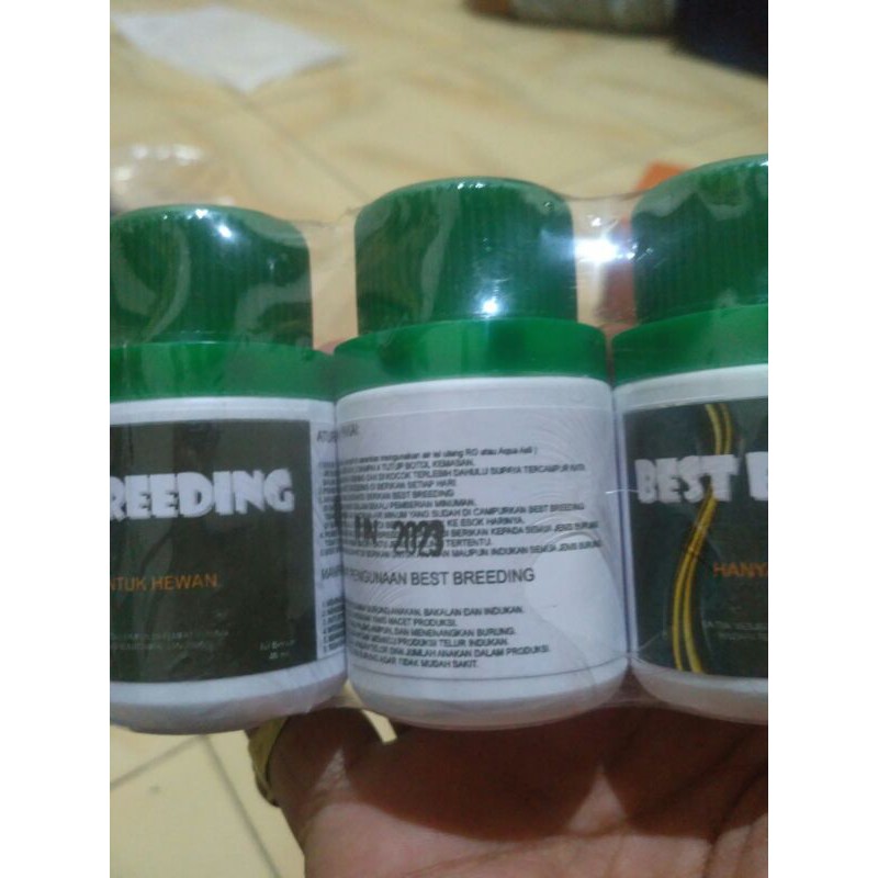 vitamin burung ternak