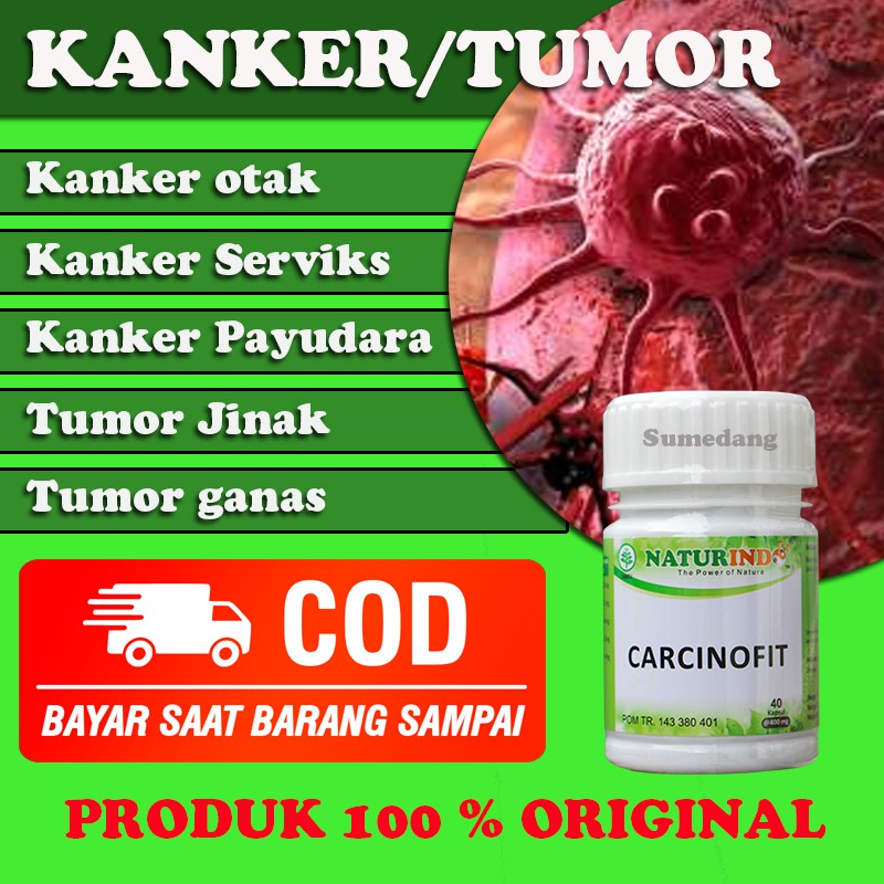 CARCINOFIT obat herbal Kanker dan tumor dengan gejala bengkak Benjolan dan nyeri serta luka basah-1