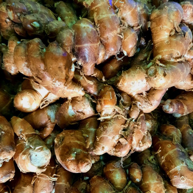 

Kencur 250g