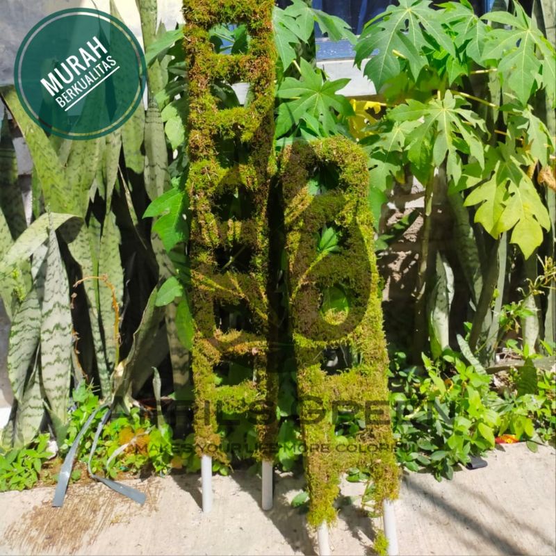 Turus Lumut Tangga 60cm Pipa Lapis Lumut Hidup Spagnum Moss
