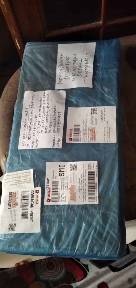 Raket Nyamuk Multifungsi Murah