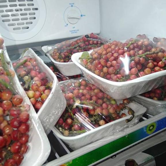 

ㅀ Buah buni ❦