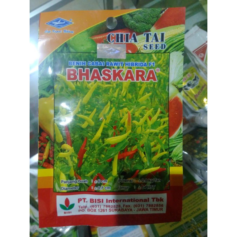 Cabe Rawit Hibrida F1 BHASKARA / Benih Cabai Rawit Hibrida F1 BHASKARA