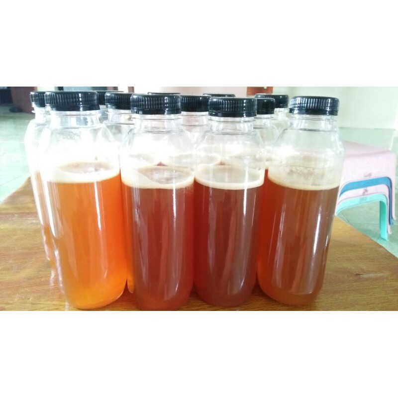 

Madu hutan asli sumatera