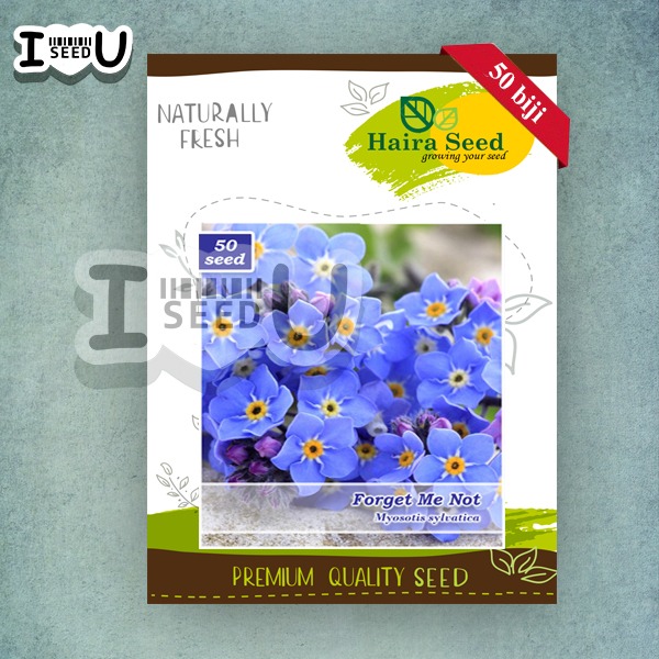 Haira Seed Bibit-Biji Bunga Forget Me Not