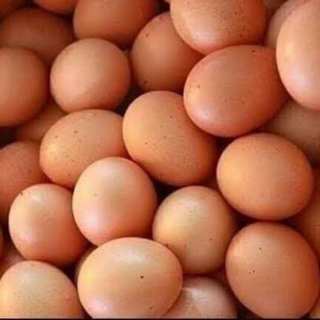 Telur Ayam Agen Tangerang Shopee Indonesia 