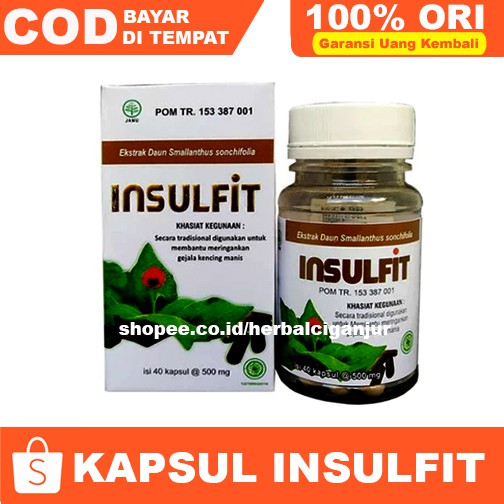 kapsul Daun insulin Insulfit Bermanfaat Bagi Penderita Diabetes Gula Darah Isi 40 kapsul