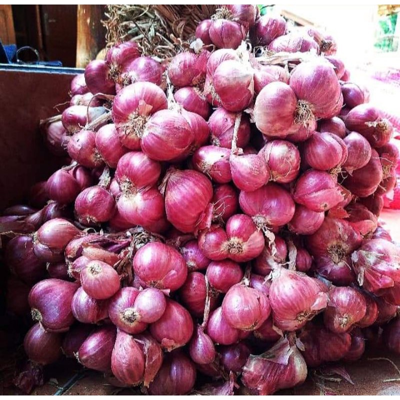 

bawang merah